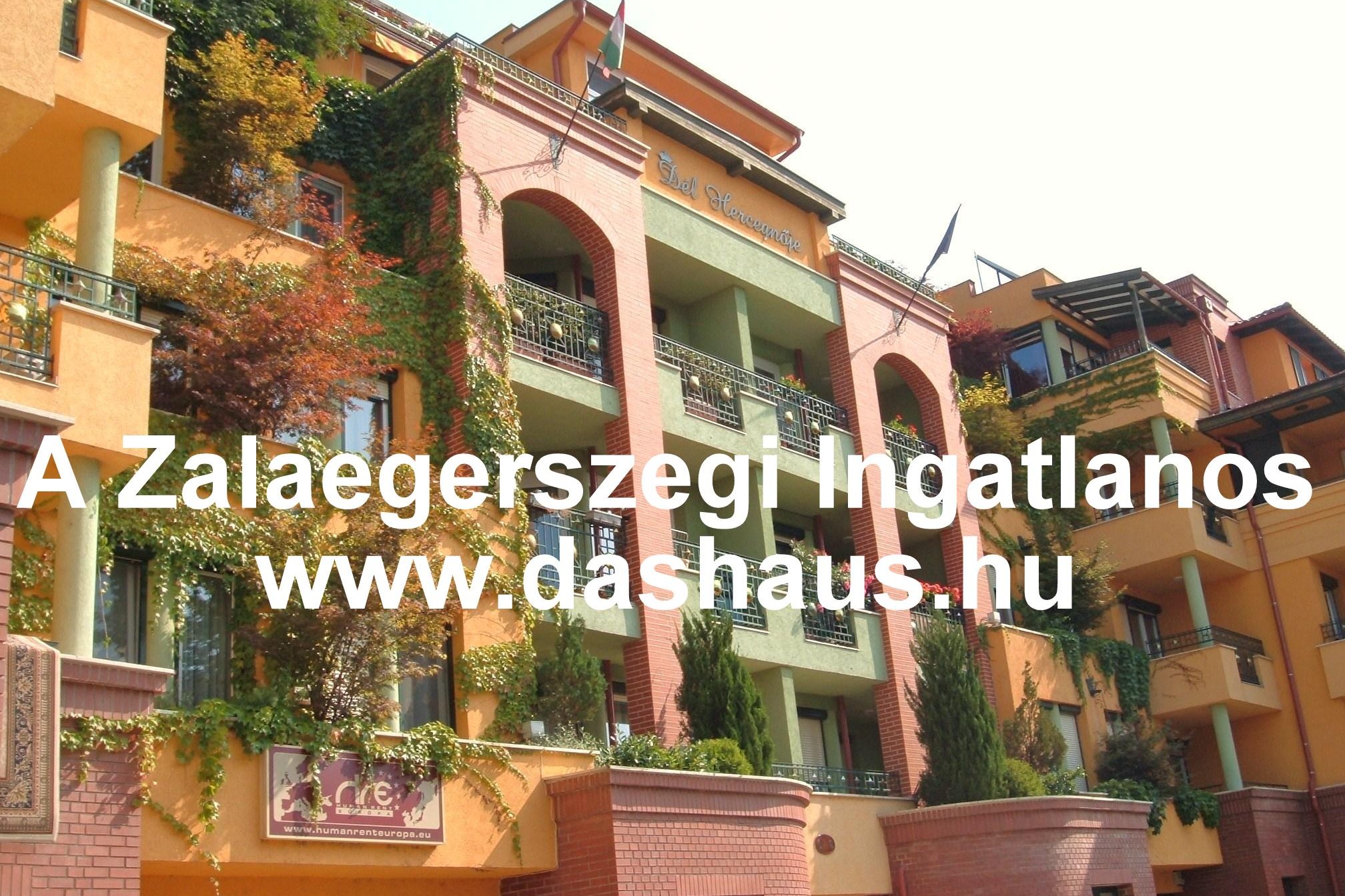 Eladó lakás, ház, ingatlan Zalaegerszeg, Zala megye: www.dashaus.hu Eladó lakás, ház, ingatlan Zalaegerszeg, Zala megye: www.dashaus.hu